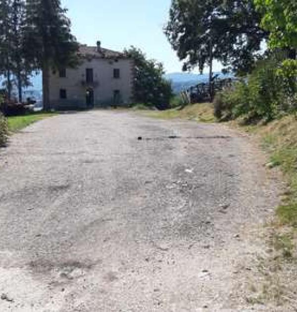 Hoofdfoto Casale Nibbi Azienda Agricola