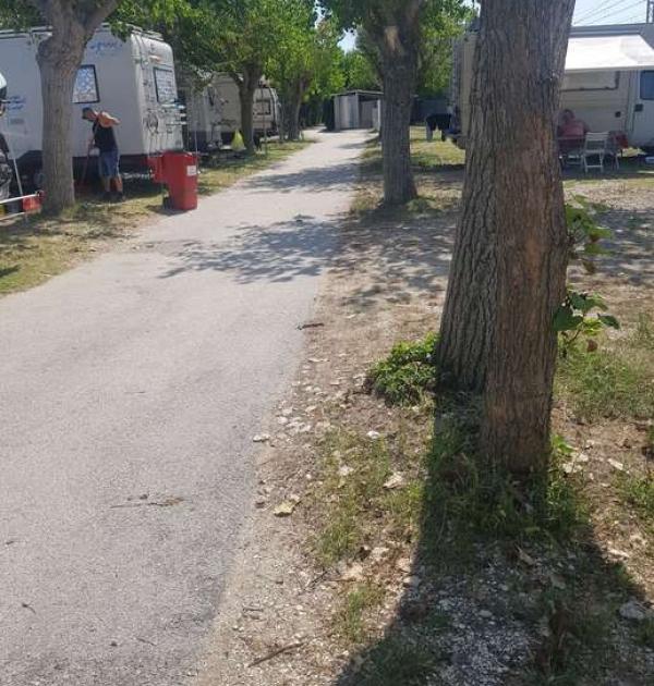 Hoofdfoto Camping Cortina Srl