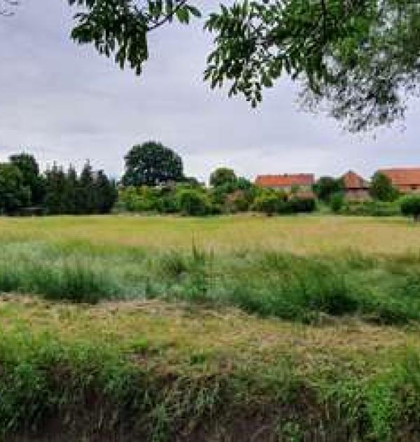 Hoofdfoto Gunsleben