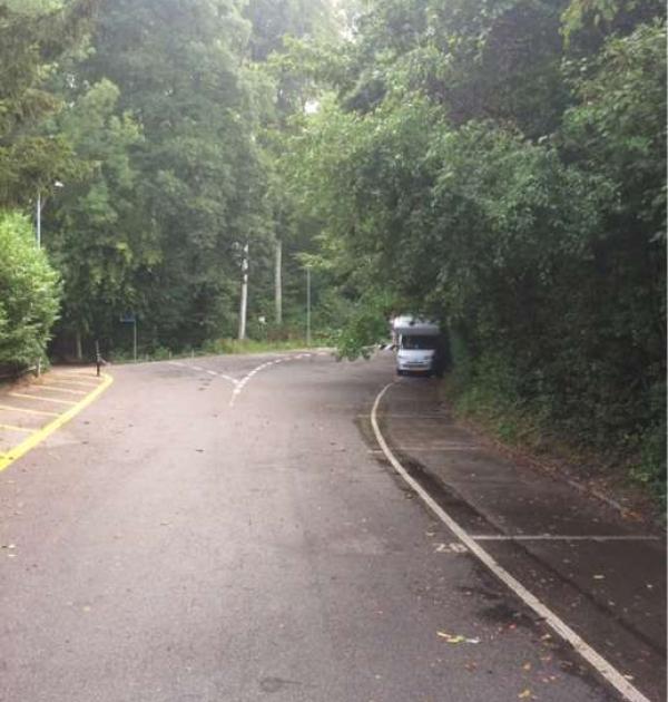 Hoofdfoto Parking Wohlenstrasse