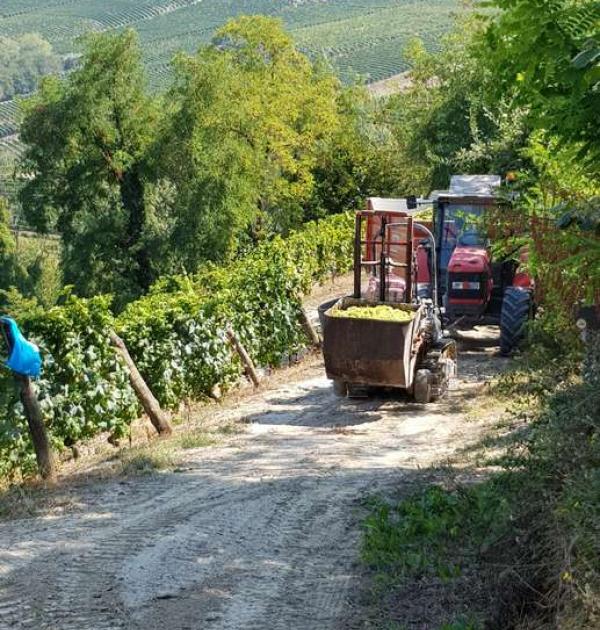 Hoofdfoto Agriturismo Brusalino