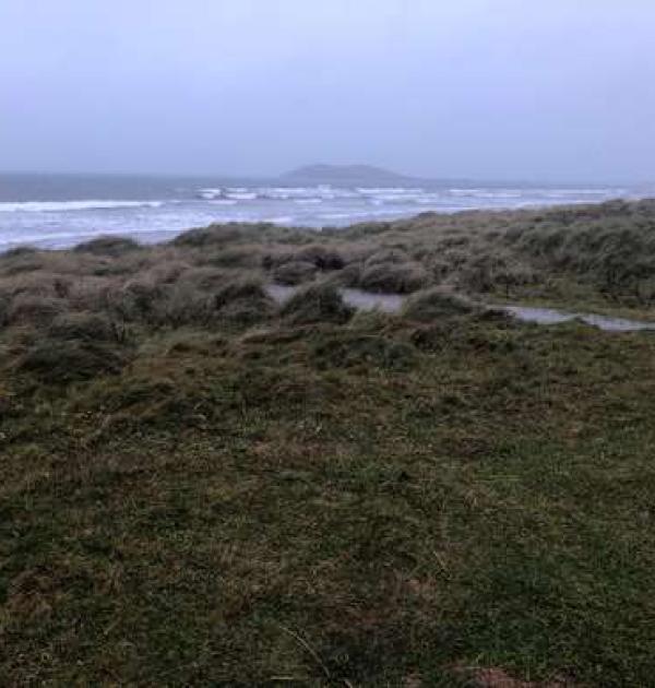 Hoofdfoto Parking Gearraidh na Monadh