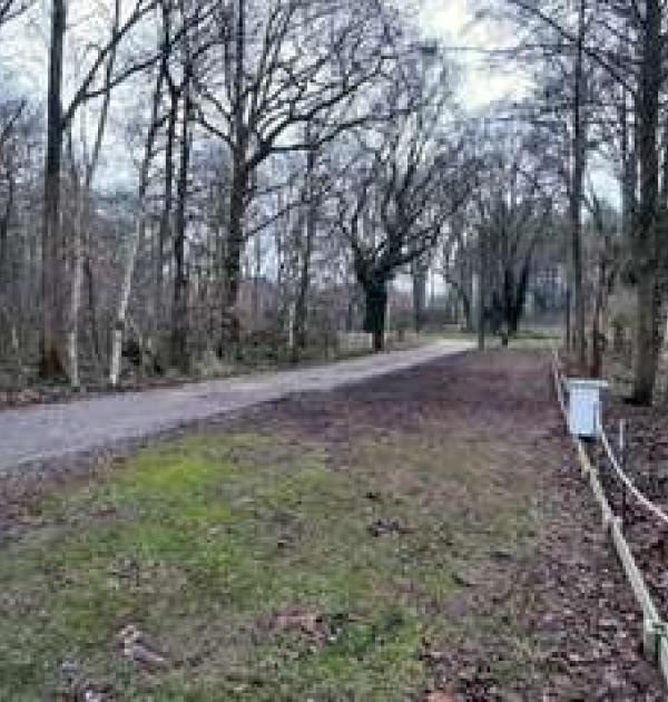 Hoofdfoto Camperlaats Houtenveld