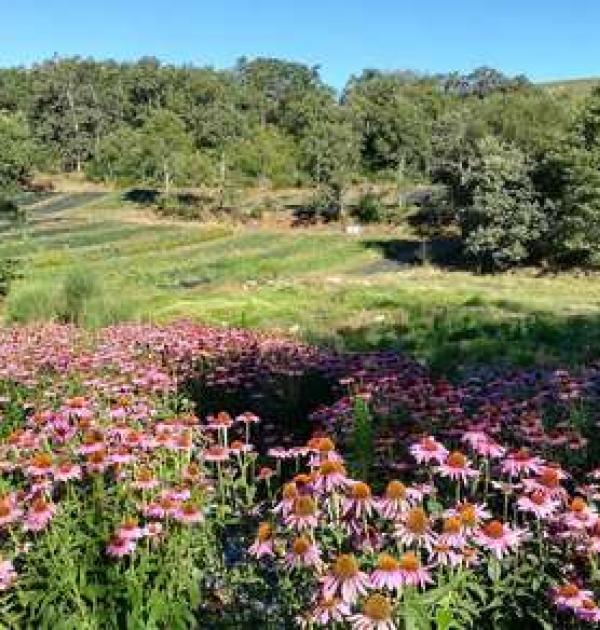 Hoofdfoto Farm Ervital