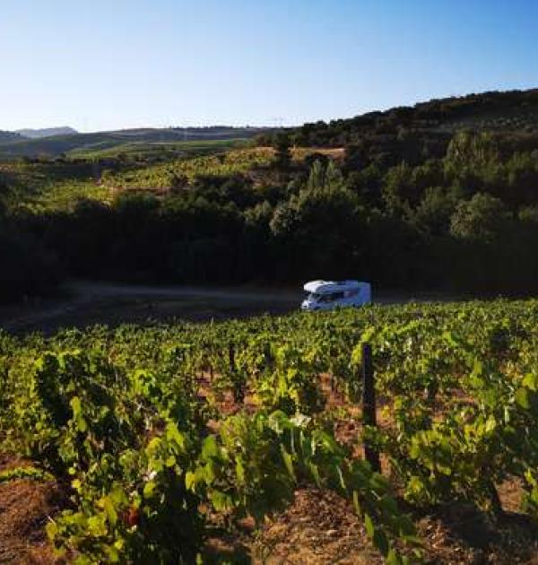 Hoofdfoto Conceito Vinhos