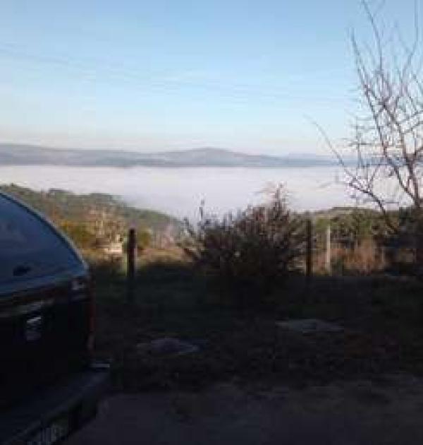 Hoofdfoto Apibericos