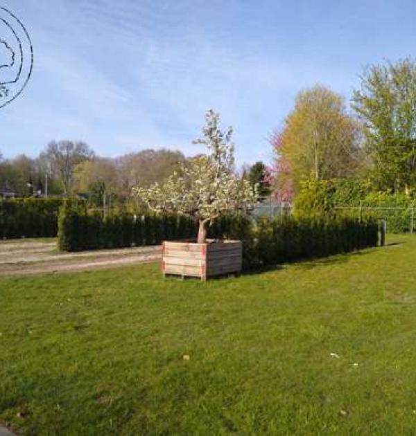 Hoofdfoto Camperplaatsen bij Camping Getaway