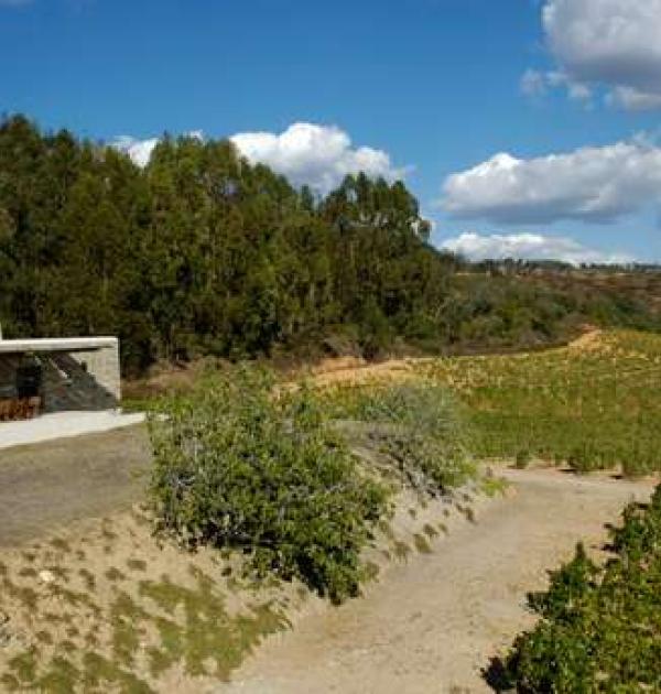 Hoofdfoto Winery Monte da Penha