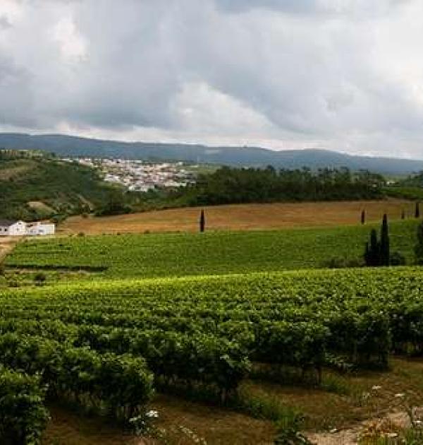Hoofdfoto Quinta dos Capuchos