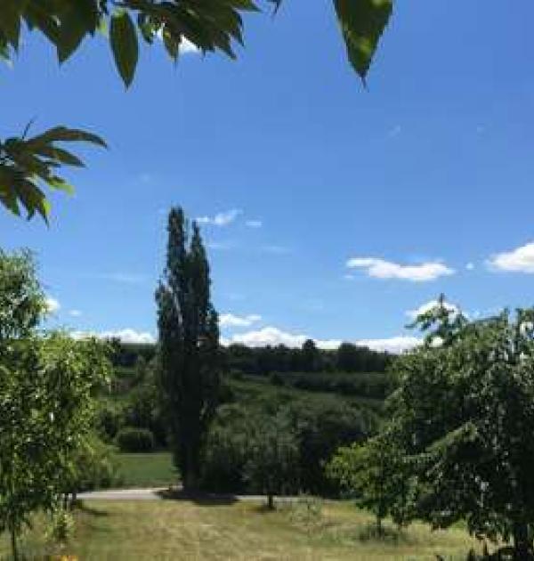 Hoofdfoto Weingut Grittmann