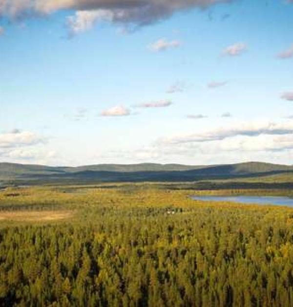 Hoofdfoto Wilderness Camp Ivalo