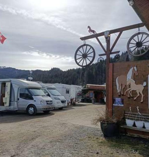 Hoofdfoto Haflinger Hof