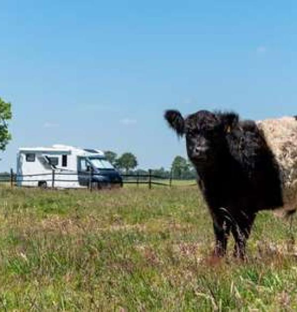 Hoofdfoto Camperplaats Allee