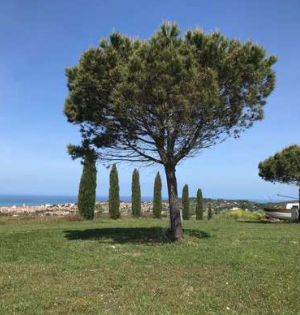 Hoofdfoto Agriturismo Il Giulivo