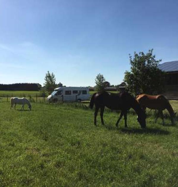 Hoofdfoto Camperplaats Het Houtland