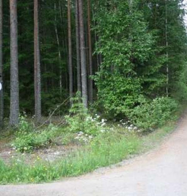 Hoofdfoto Galleri Backen