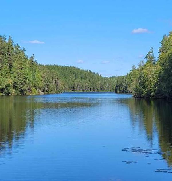 Hoofdfoto Glaskogen