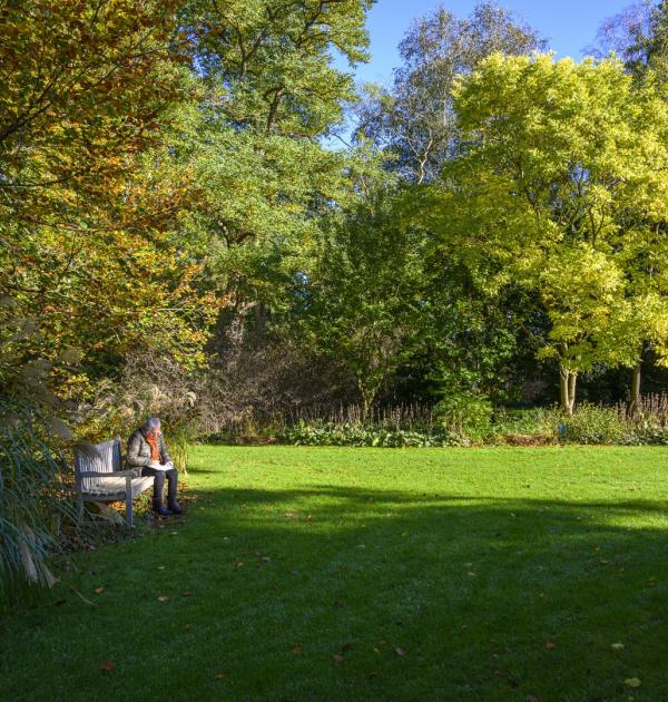 Arboretum Kalmthout